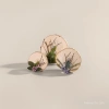 Wooden circular decorative ornaments, other decorative ornaments, Nordic-style home desktop decorations Specification image